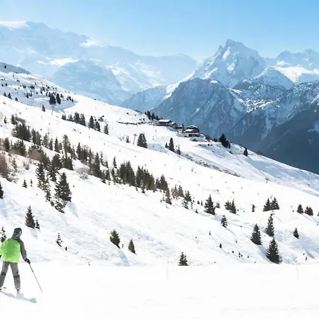 Les Primeveres - 3 Pieces Pour 6 Personnes 501 * La Plagne